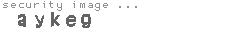 security image