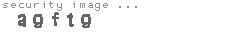 security image