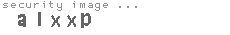 security image