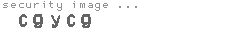 security image