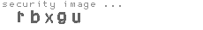 security image