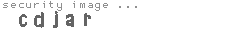 security image