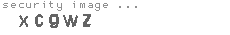 security image