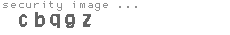 security image