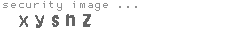 security image