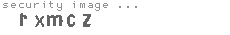 security image