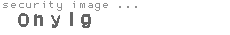 security image
