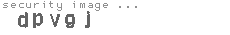 security image