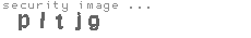 security image