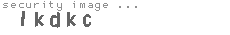 security image