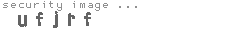 security image
