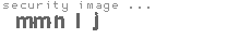 security image
