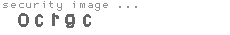 security image