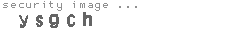 security image