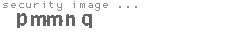 security image