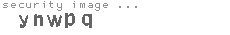 security image