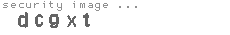 security image