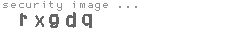 security image