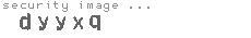 security image