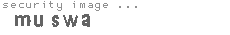 security image
