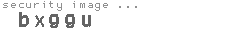 security image