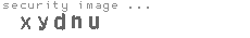 security image