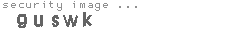 security image