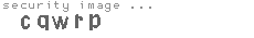 security image