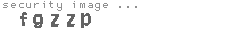 security image