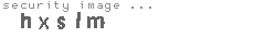 security image