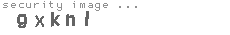 security image