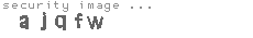security image
