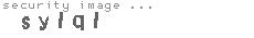 security image
