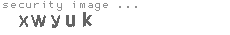 security image