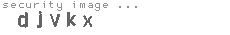 security image