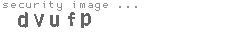security image