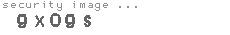 security image