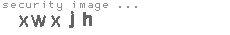 security image