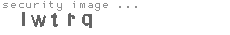 security image