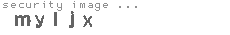 security image