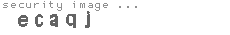 security image