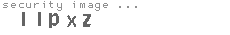 security image