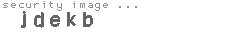 security image