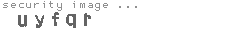 security image