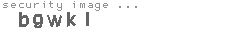 security image