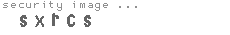 security image
