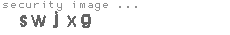 security image
