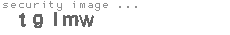 security image