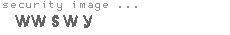 security image