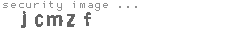 security image